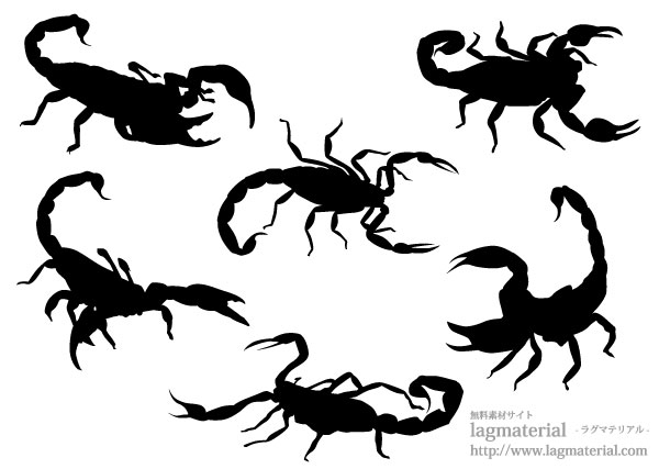 サソリ画像